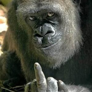 Meet your Posher, Howard